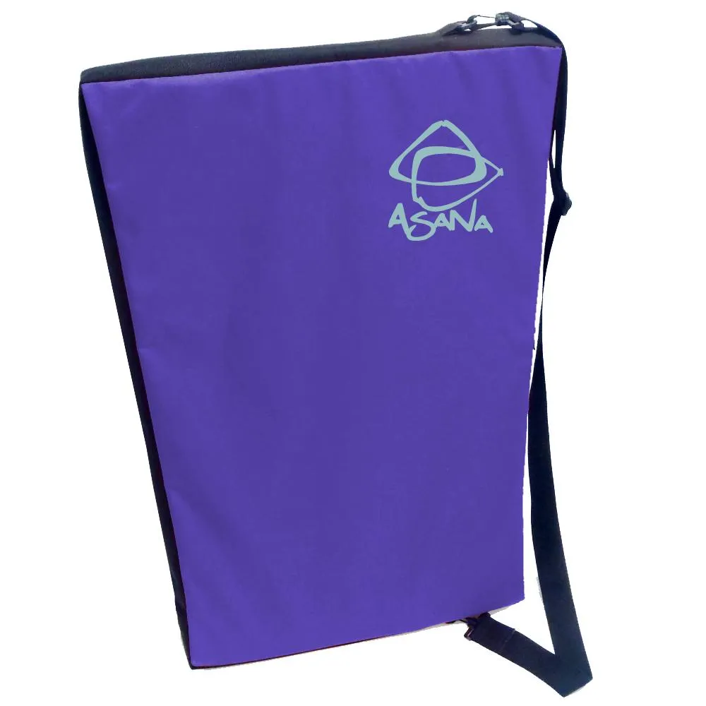Asana Pro Spotter