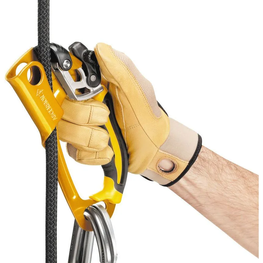 Petzl Ascension