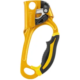 Petzl Ascension