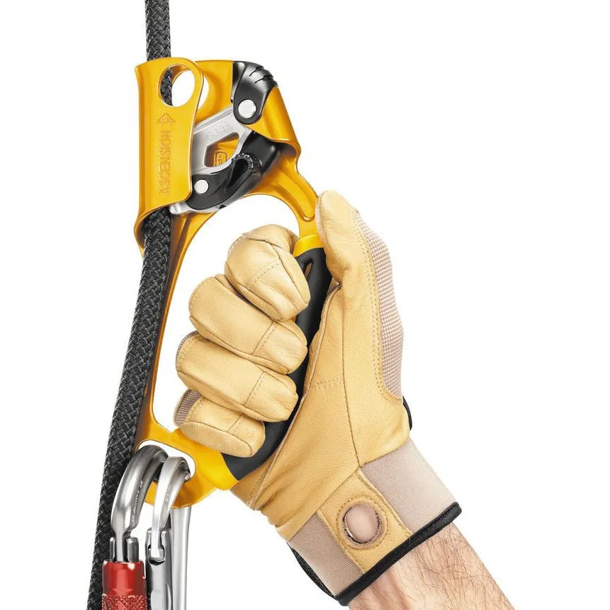 Petzl Ascension