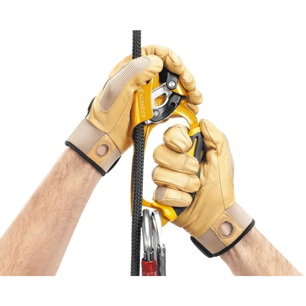 Petzl Ascension